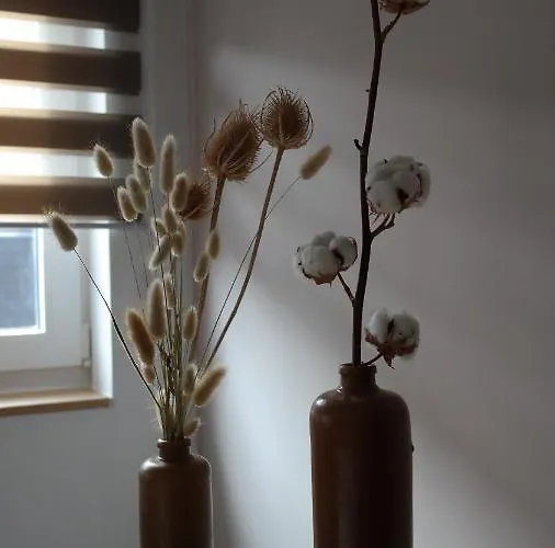 The Rooftop - A Trendy New With Airconditioning, Large Terrace & Free Parking * Ostend