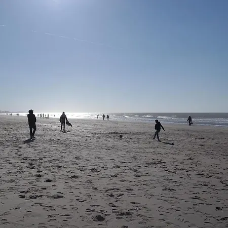 شقة The Rooftop - A Trendy New With Airconditioning, Large Terrace & Free Parking أوستيند