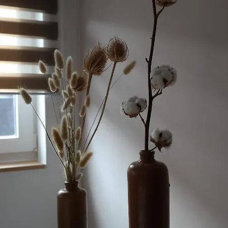 The Rooftop - A Trendy New With Airconditioning, Large Terrace & Free Parking * Οστένδη